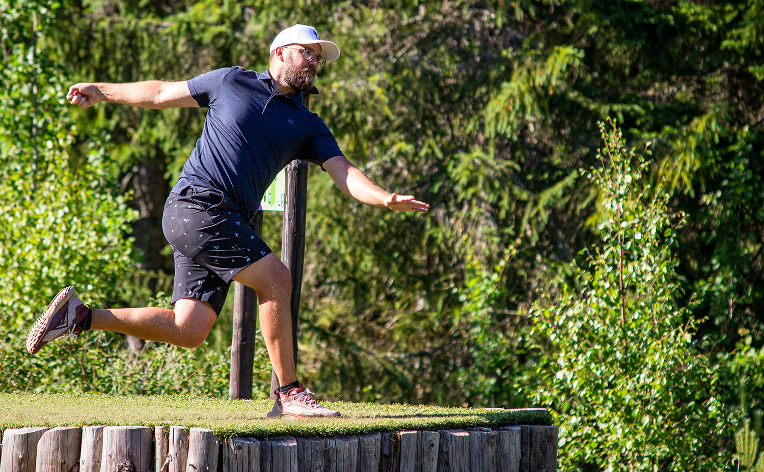 Champions in Norway Professional Disc Golf Association