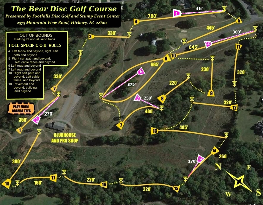 The Bear Professional Disc Golf Association