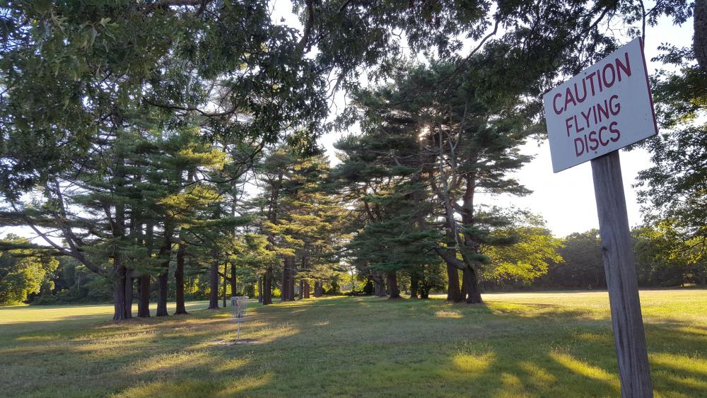 Heckscher State Park Forest Disc Golf Course Professional Disc Golf