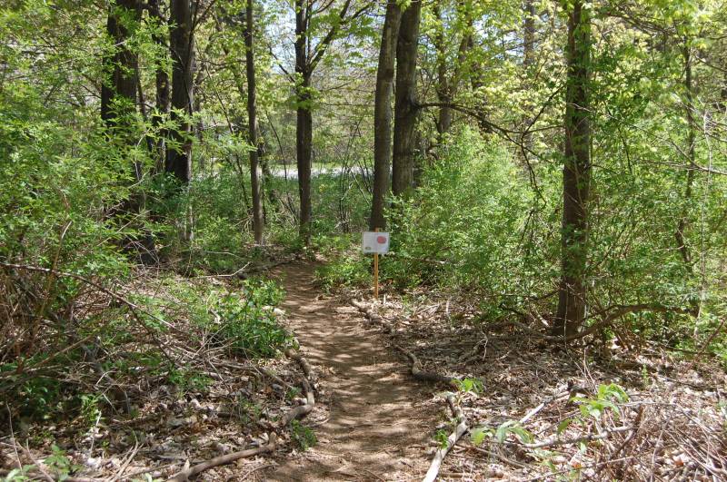 Orchard Hill Disc Golf at UMass Amherst Professional Disc Golf