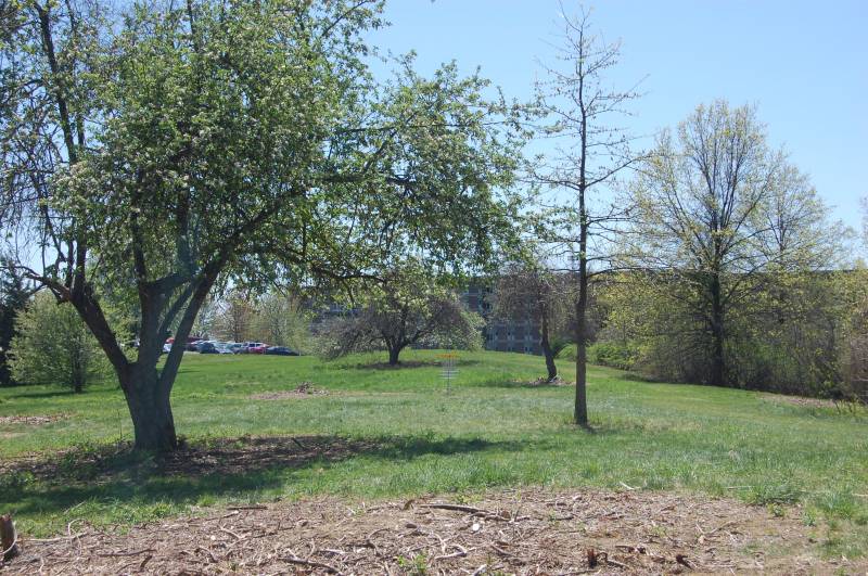 Orchard Hill Disc Golf at UMass Amherst Professional Disc Golf