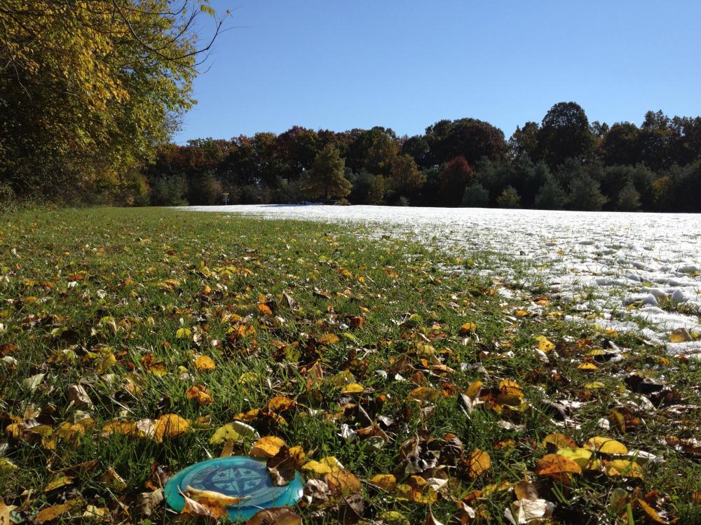 Franklin Park Disc Golf Course Professional Disc Golf Association