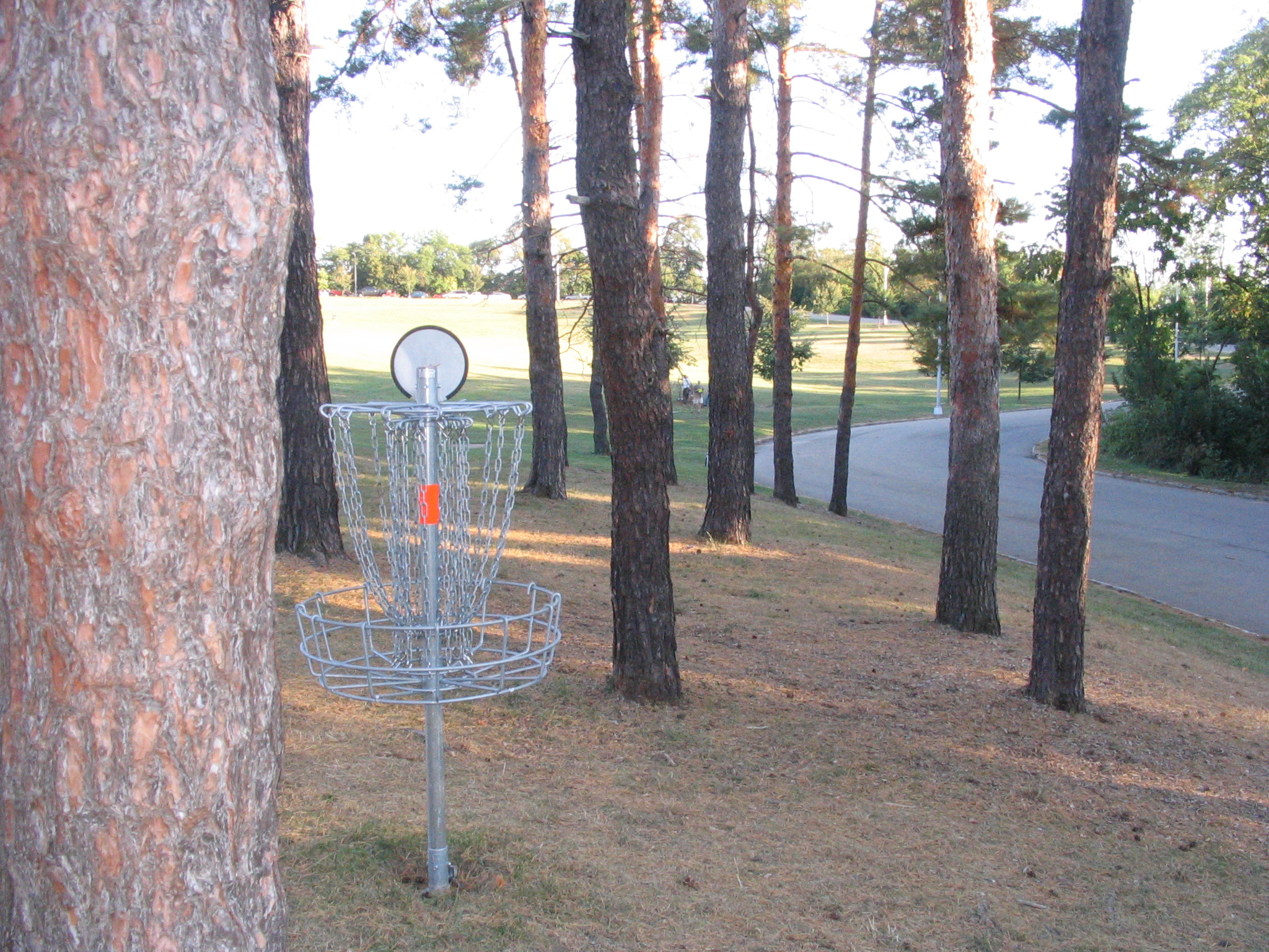 Schenley Park Professional Disc Golf Association