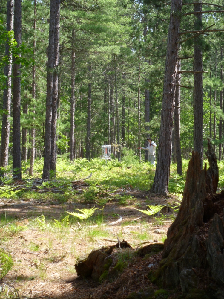 Superior Pines Disc Golf Course Professional Disc Golf Association