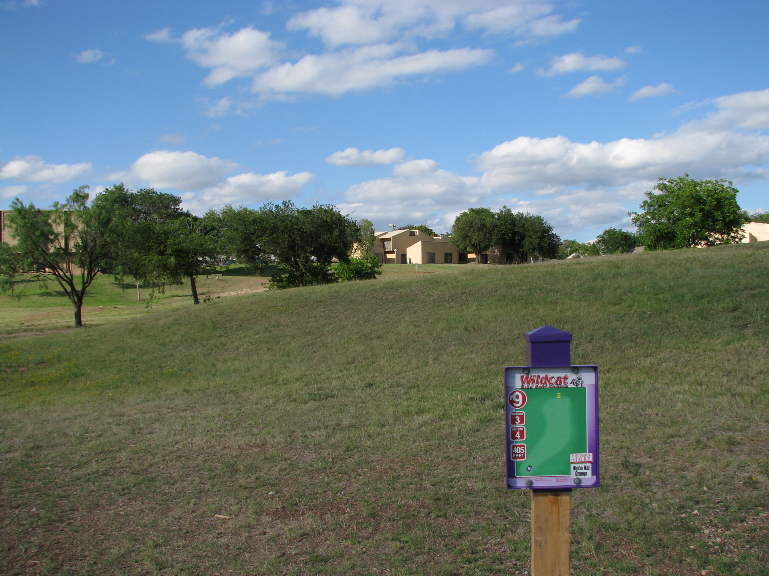 ACU Wildcat Disc Golf Professional Disc Golf Association