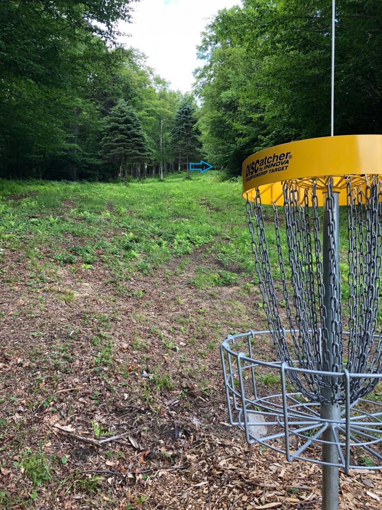 Bromley's Woods and Meadows Disc Golf Professional Disc Golf Association