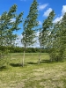 Crickle Creek Disc Golf Course