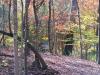 North Georgia Canopy Tours