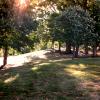 Slayter Hill Disc Golf Course at Purdue University