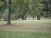 MacIntyre Park Disc Golf Course