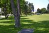 Hole #1: Basket is to the right of the rightmost tree