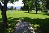 Hole #1: Basket is to the right of the rightmost tree