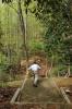 The Disc Golf Course at Primland