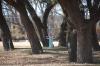 Hole 10 surrounded by trees, elevated tee, 266 ft.