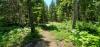 Harvey's Hemlock Hideaway at Priest Lake State Park