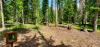 Harvey's Hemlock Hideaway at Priest Lake State Park