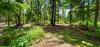 Harvey's Hemlock Hideaway at Priest Lake State Park