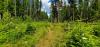 Harvey's Hemlock Hideaway at Priest Lake State Park