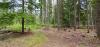 Harvey's Hemlock Hideaway at Priest Lake State Park