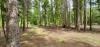 Harvey's Hemlock Hideaway at Priest Lake State Park