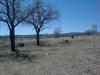 New Mexico Highlands University Disc Golf Course