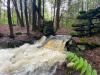 Stoney Brook Disc Golf Course