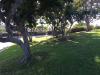 Concordia University Irvine Disc Golf Course