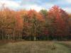 Blackwater Falls State Park Disc Golf Course