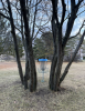 Westsyde Centennial Disc Golf Park