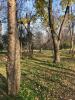 Iowa State University (Stable Run Disc Golf Course)