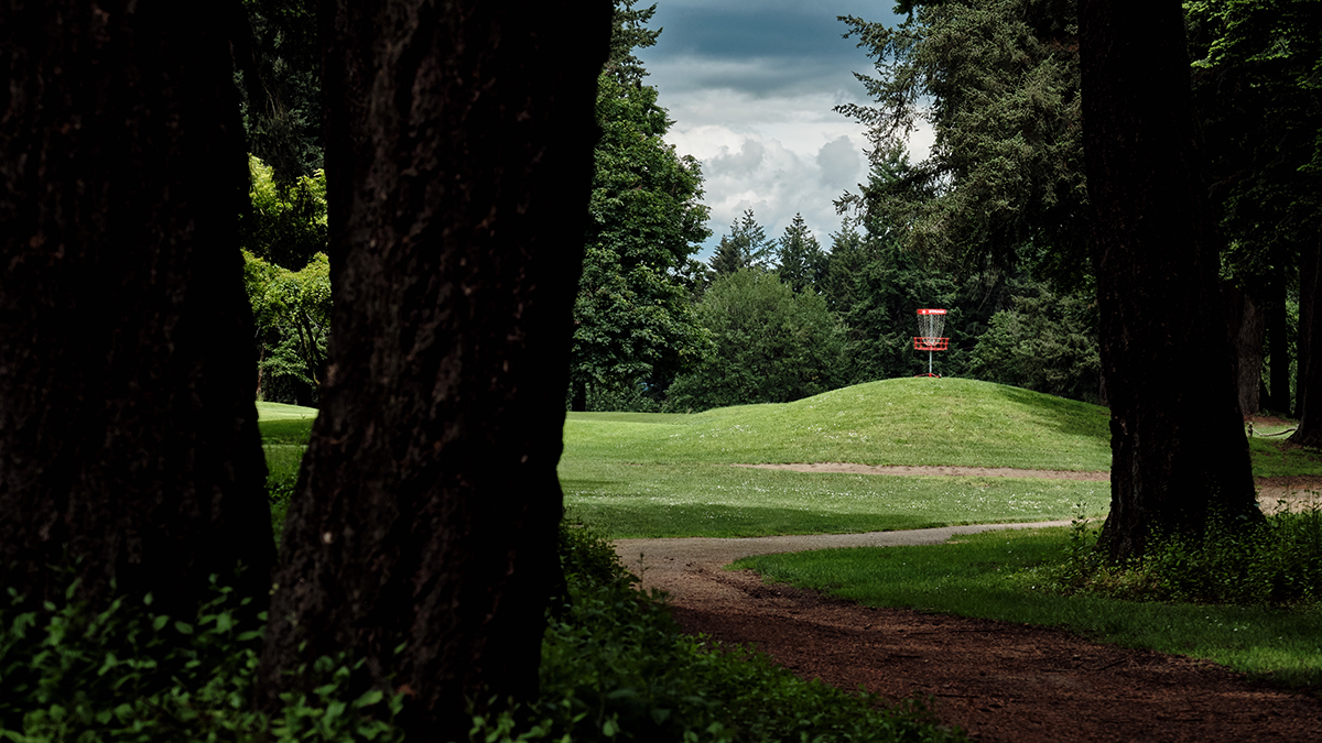 Back to Blue Lake Disc Golf Pro Tour