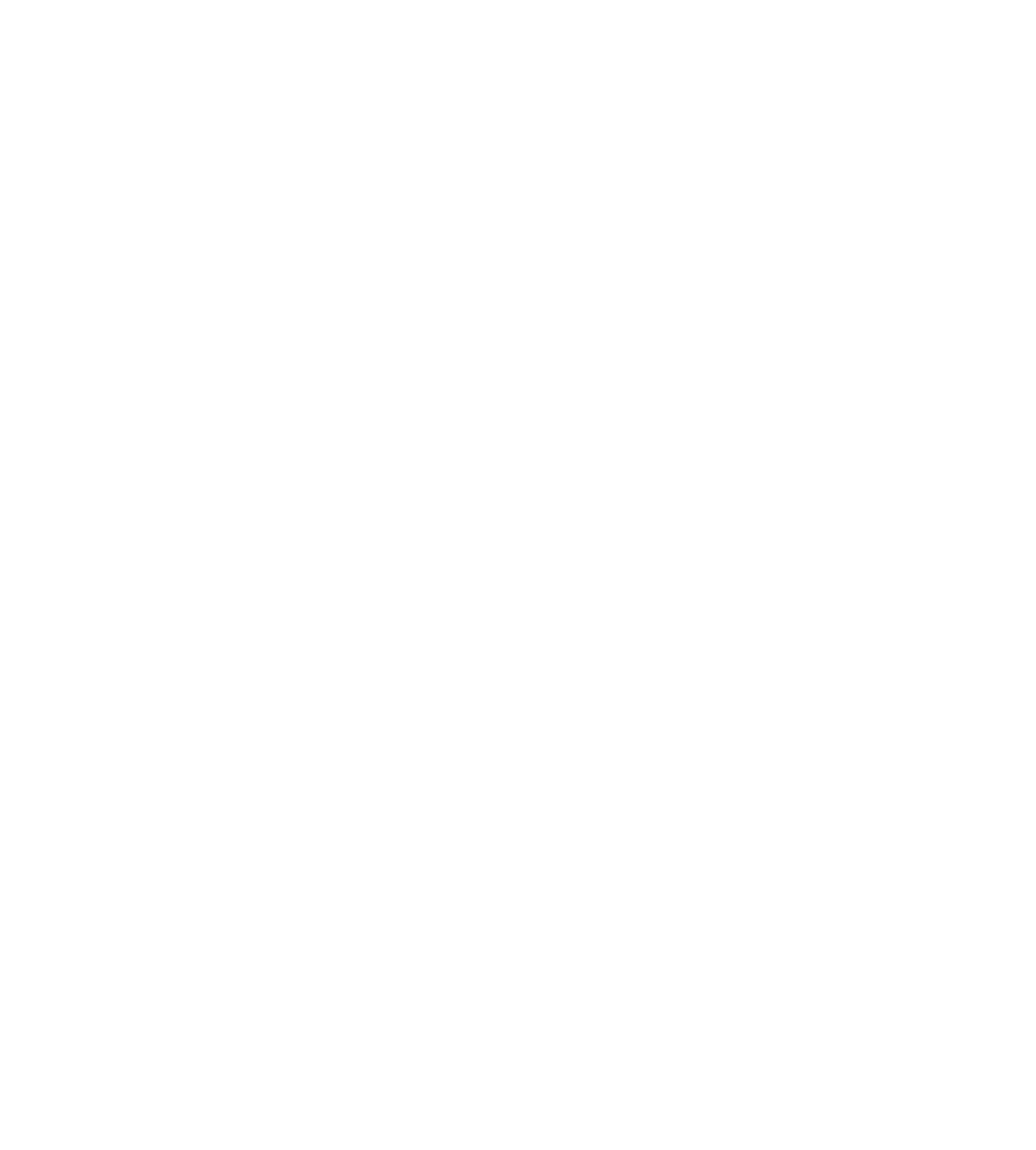 2024 PDGA Masters Disc Golf World Championships Professional Disc